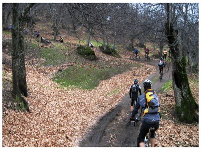 SUR mtb