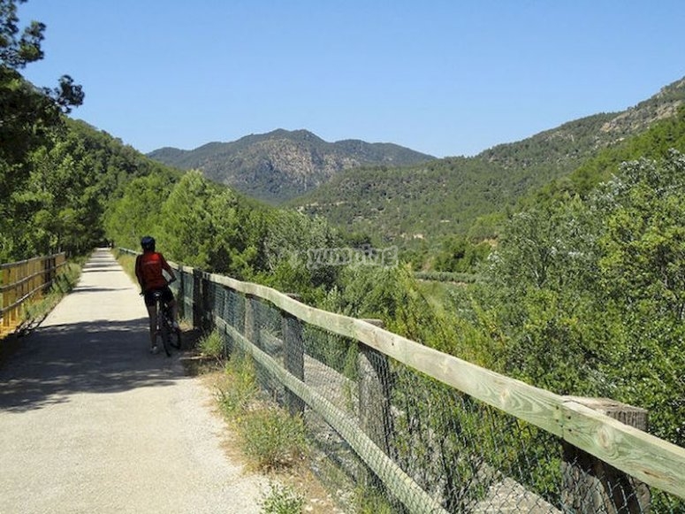 Ruta BTT en Tortosa Ruta BTT en Tortosa