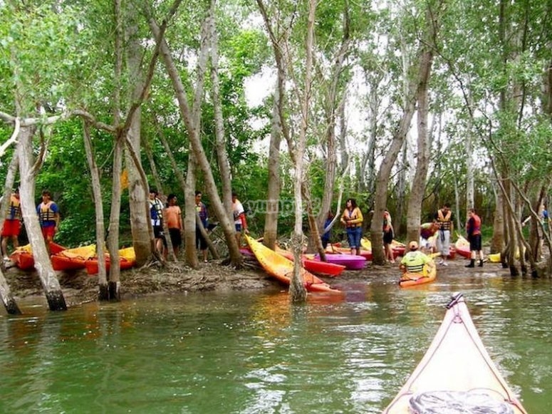 Kayak en la desembocadura del Ebro Kayak en la desembocadura del Ebro