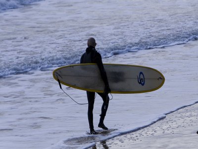 The Adventure Bug Surf