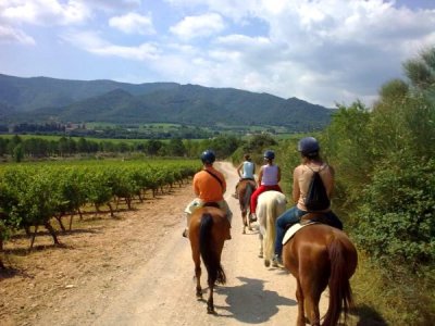 Ruta a caballo en Poblet, 1 hora
