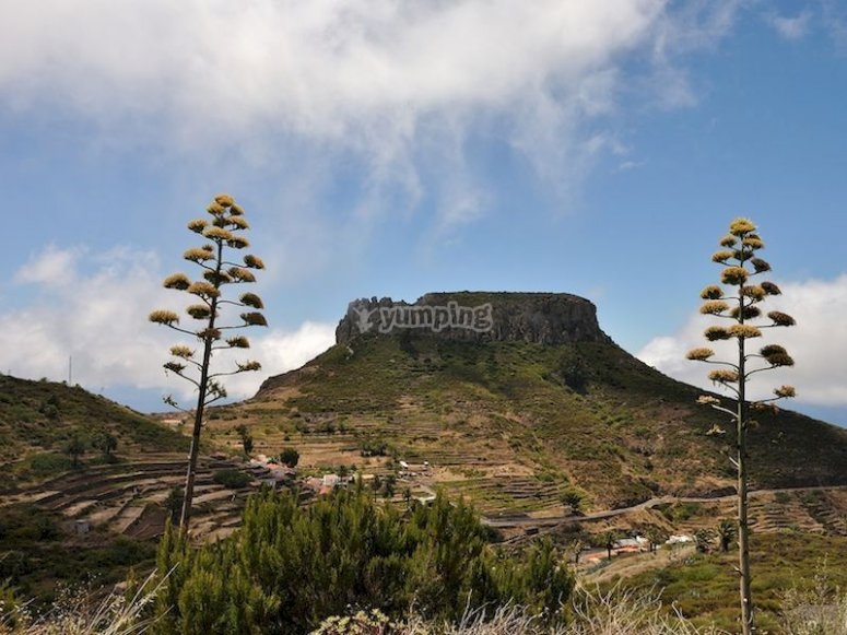 Visitas Guiadas en La Gomera