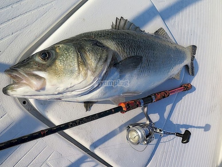 Pesca en La Gomera