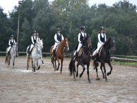  Impariamo anche il dressage 