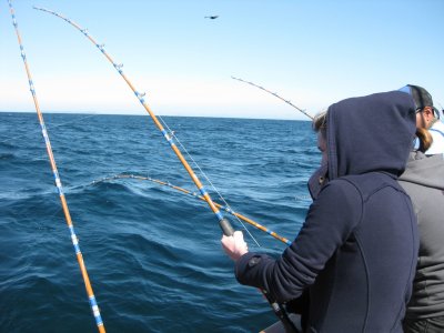 Clase de pesca costera + compra de equipo
