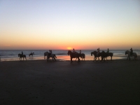 Passeggiata a cavallo sulla spiaggia 