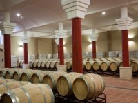 Visita a las bodegas, con menú completo y vinos