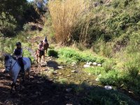 Excursion à cheval 