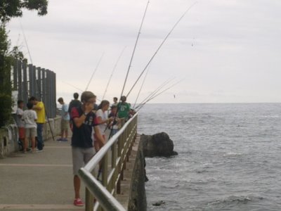 Fon Fishing