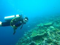 Inmersión de buceo desde barco para titulados