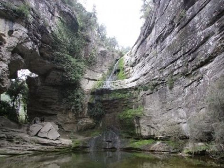 Excursión senderismo hayedo de Rupit i