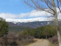  Hiking in Soria