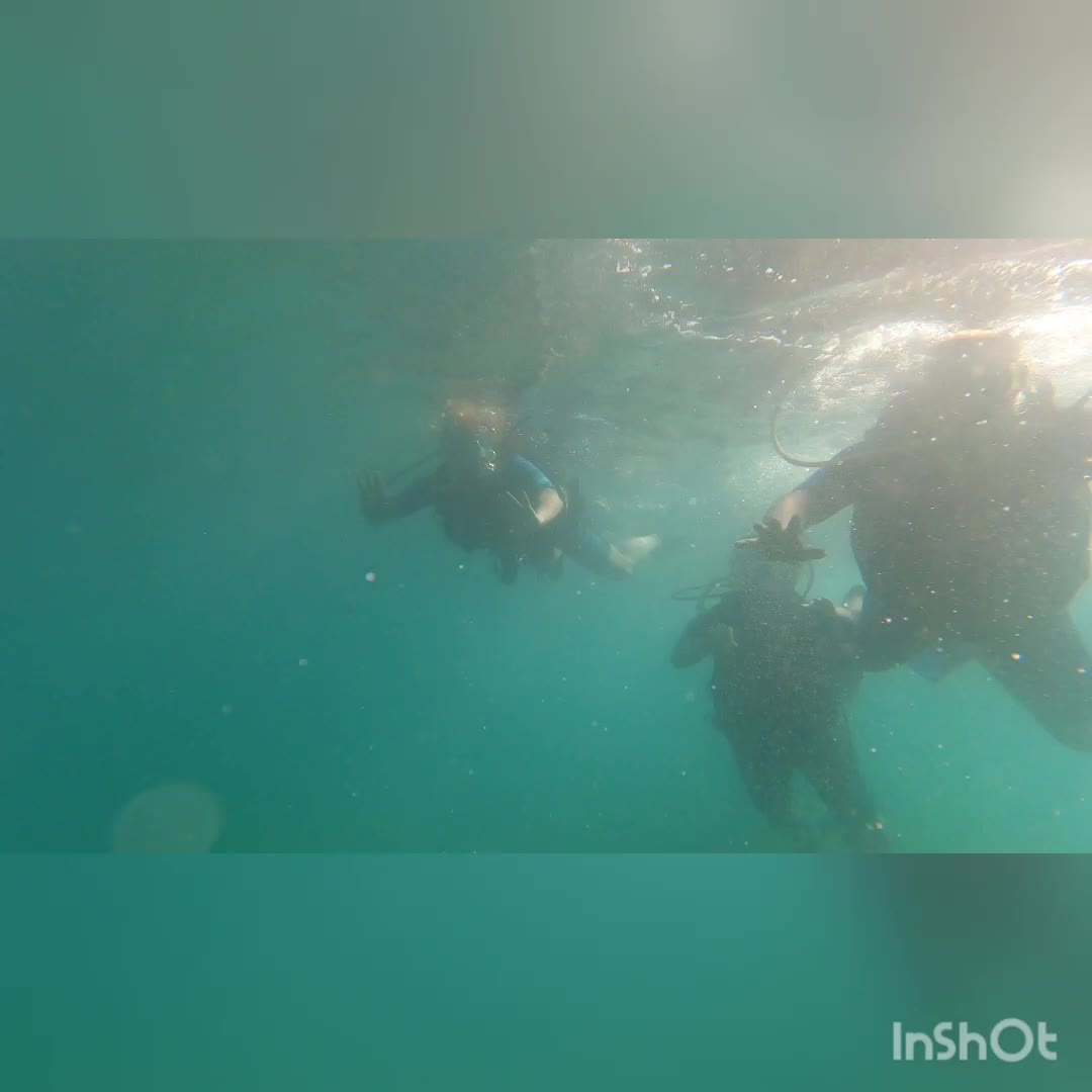 res_o-58618-buceo_de_reyes-gonzalez-martin_16883202699561.mp4 res_o-58618-buceo_de_reyes-gonzalez-martin_16883202699561.mp4