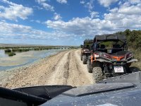  乘坐越野车 Viñas de Jerez de la Frontera 