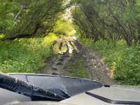  À pleine vitesse dans nos buggys 