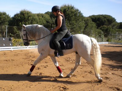 Semana Ecuestre en Conil de la Frontera