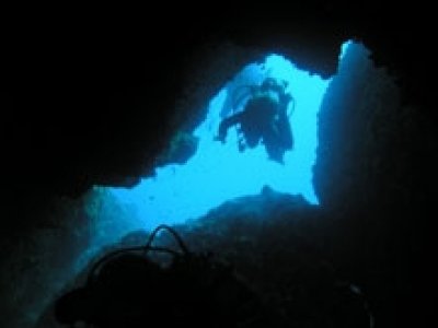 Sasa Sub Diving Center