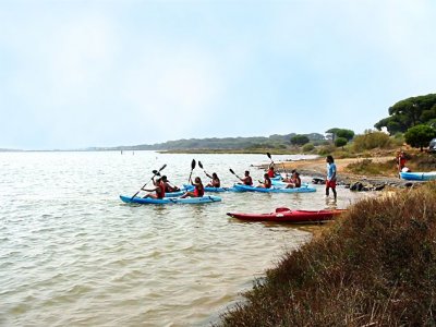 Alquiler de kayak doble en el Rompido 1 hora