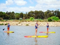  Paddle surf