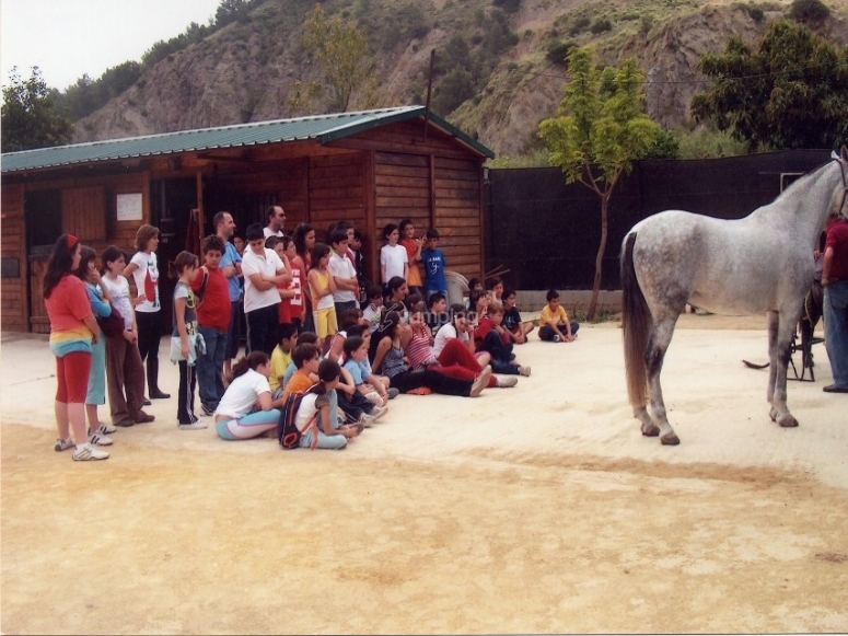 Club Hípico Altea, precios y reservas 2024