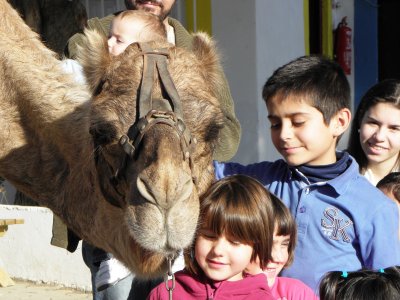 Mi Reino por un Camello Parques Infantiles