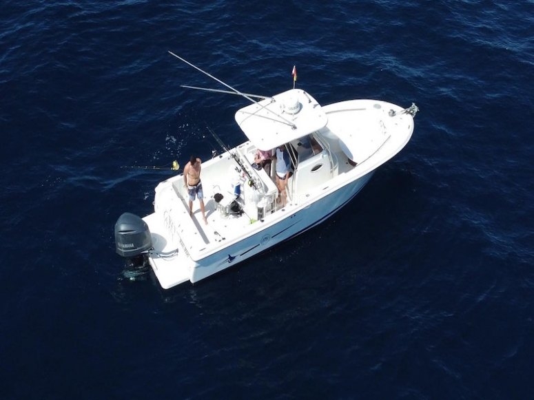 Charter de pesca