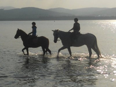 Paseo a caballo en la playa de Laredo 1 h y 20 min