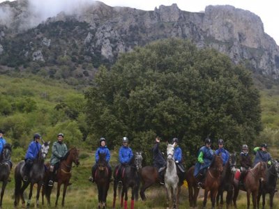 Hípica Acedo Rutas a Caballo