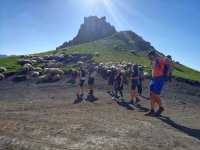 Genießen Sie einen Wandertag 