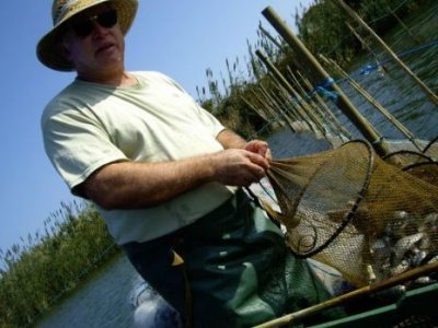 Albufera Viva Pesca