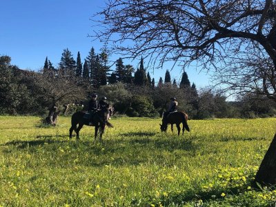 Club Hípico La Gubía Rutas a Caballo