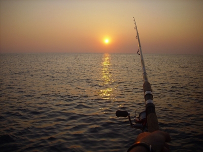Sport fishing in Torrevieja 8 hours