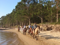 Passeggiata lungo la spiaggia e la foresta 