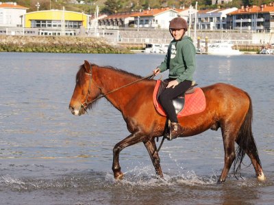 Agorregi Zalditokia Rutas a Caballo