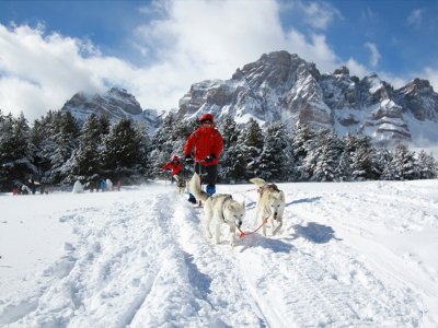 Mushing en trineo individual Valle Partacua 1h