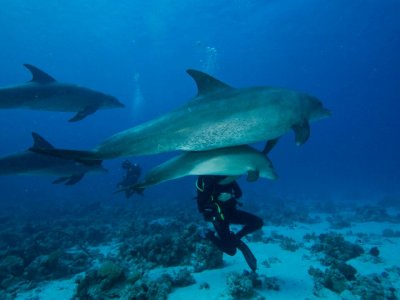 Due immersioni a Cambrils