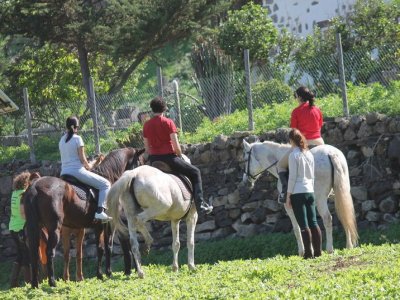 Excursión a caballo en Gran Canaria, media hora