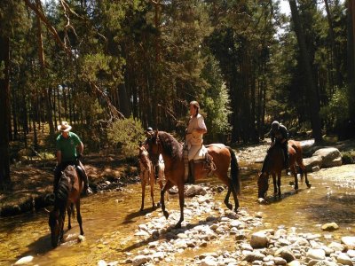 Ruta a caballo en La Granja de San Ildefonso, 1 h