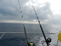  Fishing in Tarragona