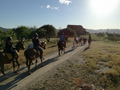 Ruta a caballo en Collserola 2 horas