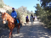  On horseback on the dirt road 