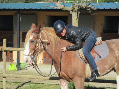 Ruta a caballo por Serralada del Litoral 1 hora