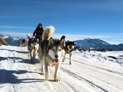 Musher por un día Valle de Tena trineo individual