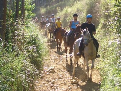 Ruta a caballo Unquera, Pesués y Prío 1h 30min