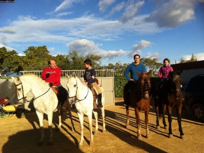 Ruta a caballo, la Vereda Real, Valencina 1h 20min