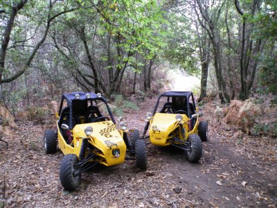 Ruta de cumbre nueva, en buggy biplaza, 3 horas