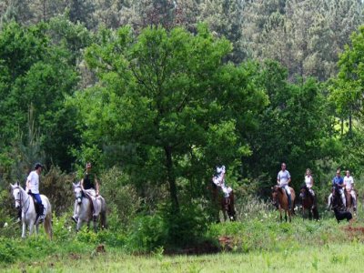 Ambitus Active Rutas a Caballo