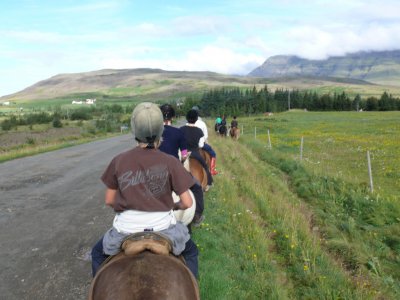 Ruta a caballo por Elche. 1 hora