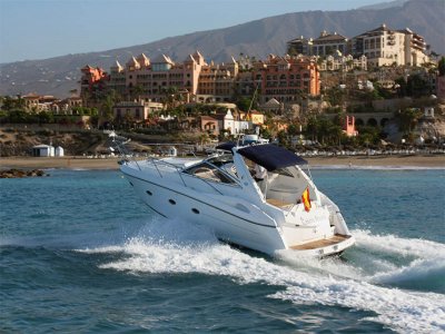 Sunseeker Portofino 46, 9 pessoas, 8 horas.