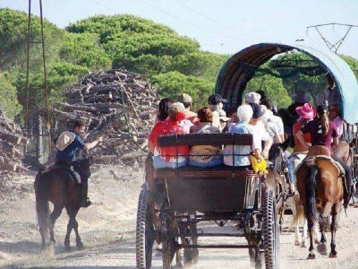 Camino Rociero a caballo por el corazón de Doñana